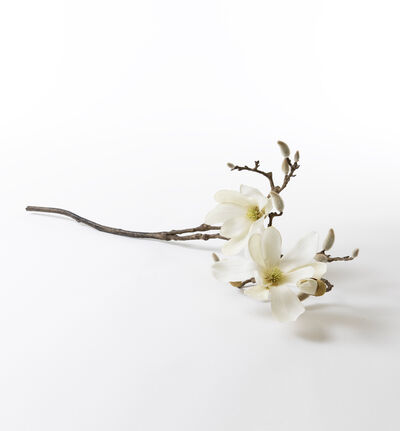 Kunstig hvit Magnolia H83cm